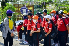 BEE_4818