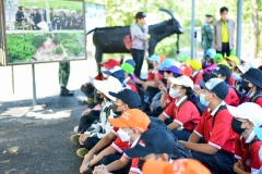 BEE_4827-Copy