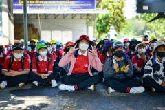 BEE_4833