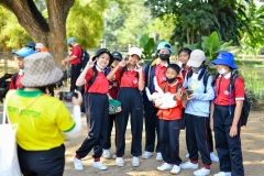 BEE_4885