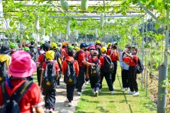 BEE_4893