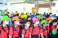 BEE_4916
