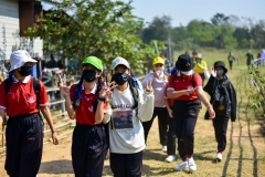 BEE_4954