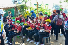 BEE_4984