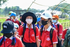 BEE_5039