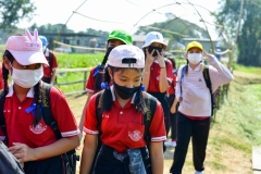 BEE_5044