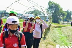 BEE_5045
