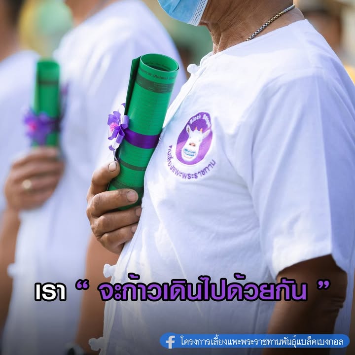 โครงการผลิตแพะพระราชทาน เพื่อนช่วยเพื่อน พื้นที่ภาคเหนือ
